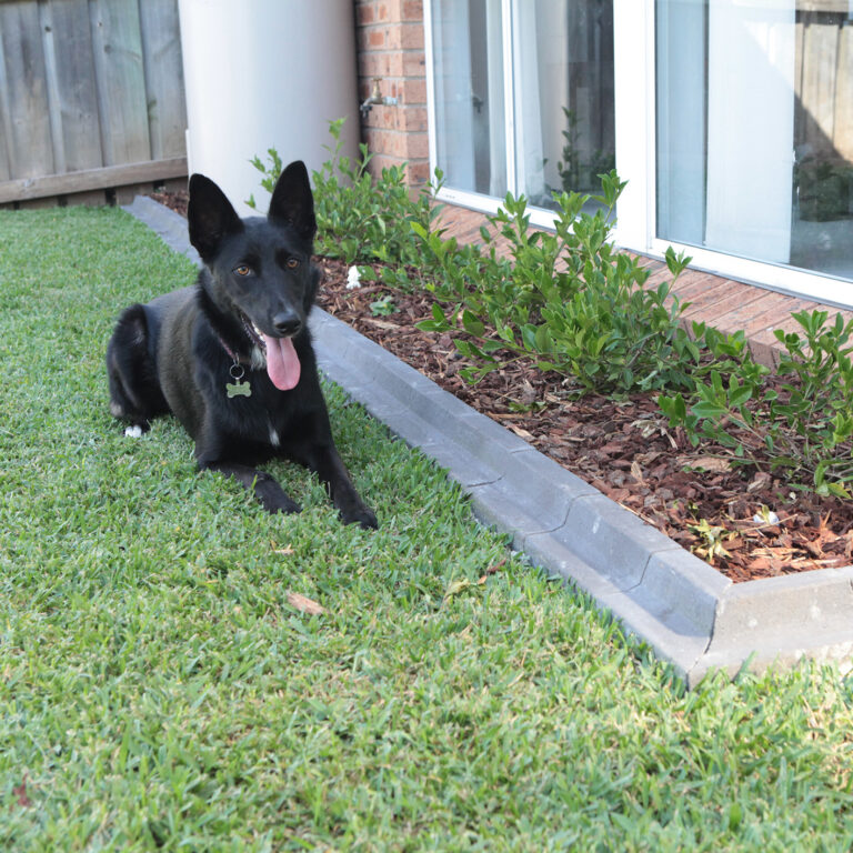 Lawn Edge Pavers Garden Edging Pavers Adelaide