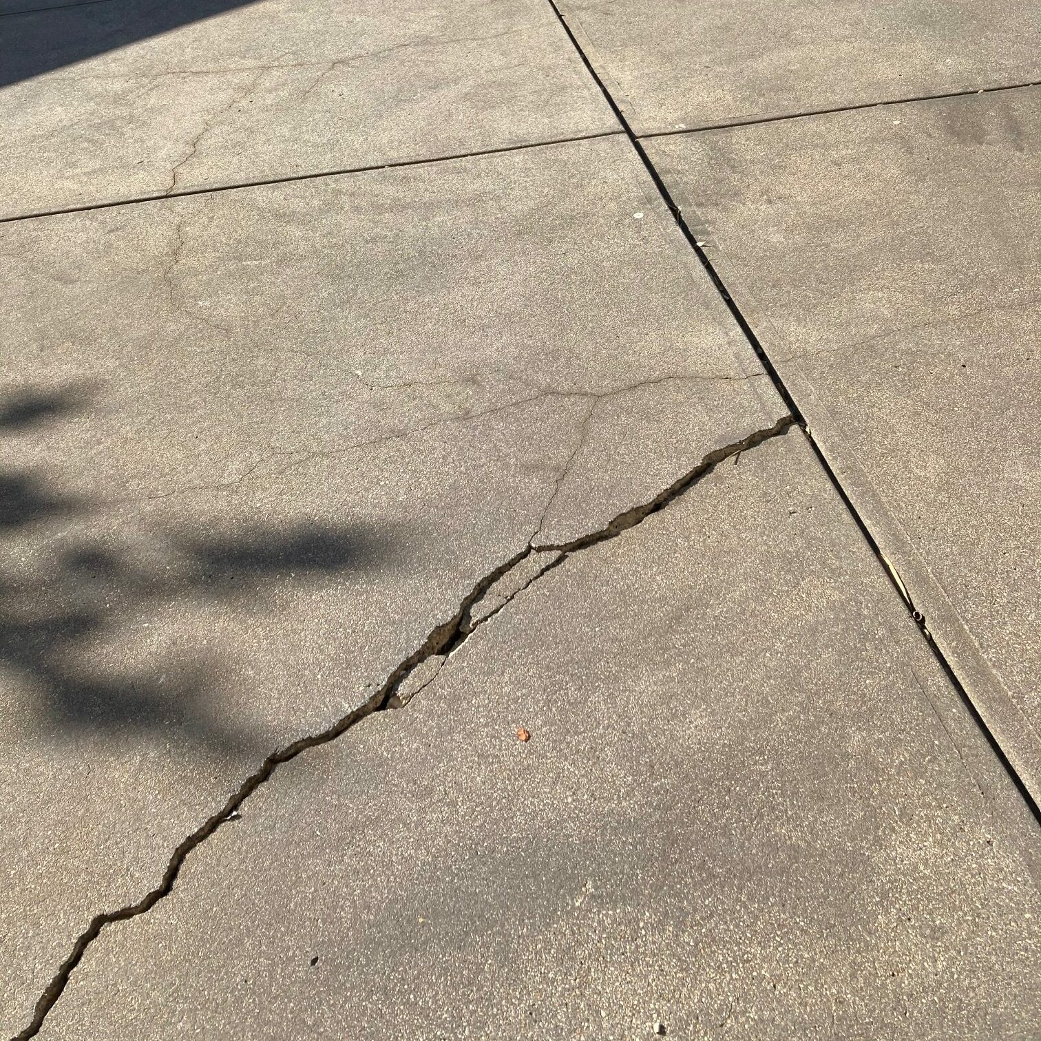 Pavers vs Concrete Why Choose Pavers Over Concrete